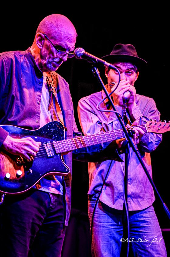 Marco Farris on harmonica next to a guitarist
